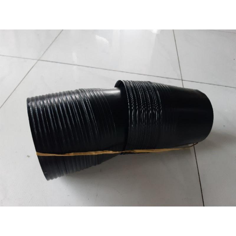 50 chậu c7 liên an