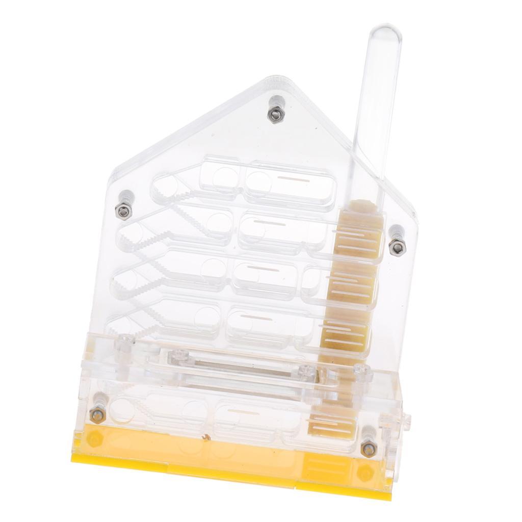 Clear Insect Ant Housing Acrylic Nest Ants Feed Farm Formicarium Box