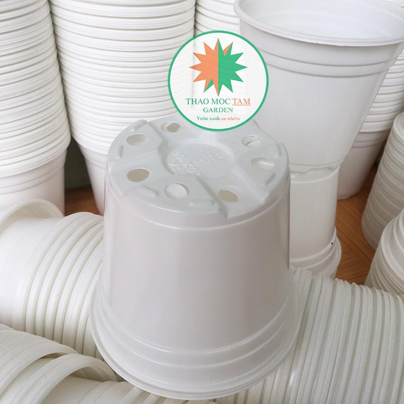 Combo 20 Chậu nhựa trồng hoa, ươm cây chất lượng cao - Kích thước 120x106mm