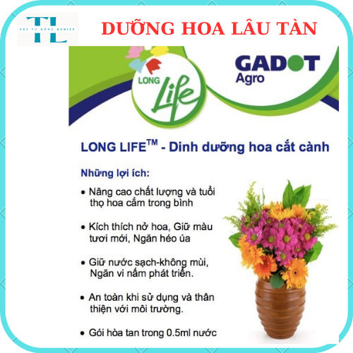DƯỠNG HOA LÂU TÀN LONG LIFE, KHÔNG THỐI NƯỚC, BỘT DƯỠNG HOA KHÔNG HÉO
