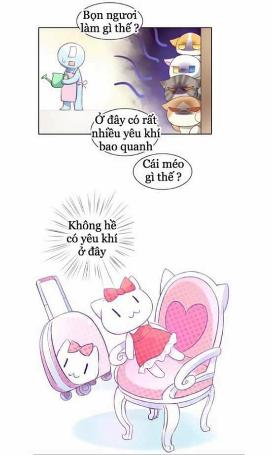 dưới móng vuốt mèo chapter 5 8