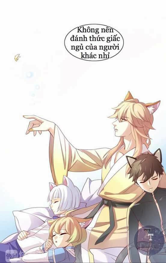 dưới móng vuốt mèo chapter 1 37