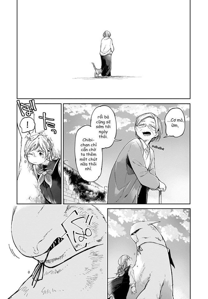 dear noman chapter 3 16