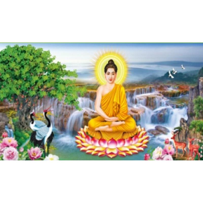 Tranh thêu Bổn Sư Thích Ca Mâu Ni X8315 - kích thước: 100 * 50cm.