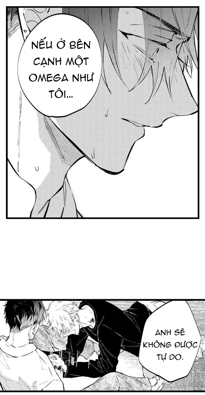 Hãy Ly Hôn Đi, Ngài Alpha chapter 15.1 - Trang 3