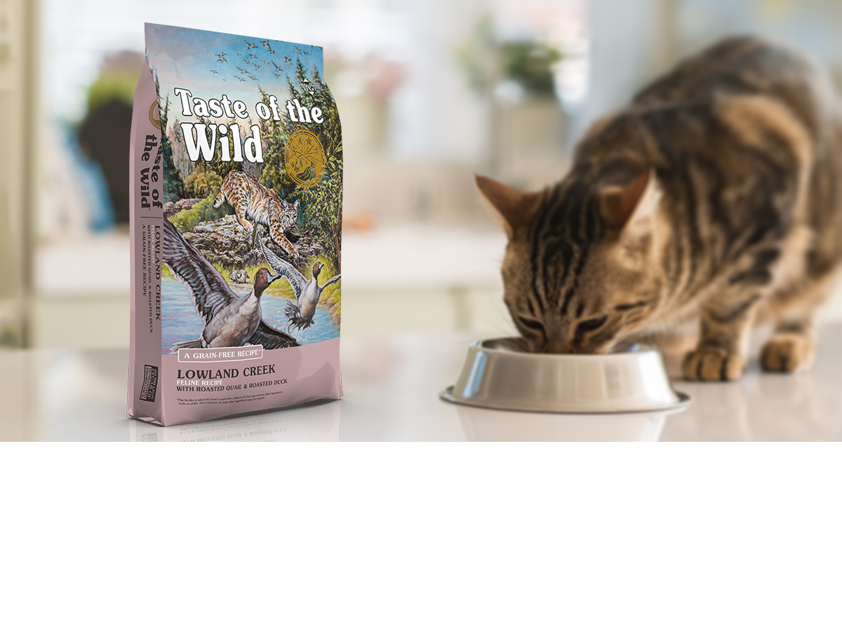 Taste Of The Wild - Lowland Creek Feline Recipe 6.6Kg – Chim Cút Quay Và Vịt Quay
