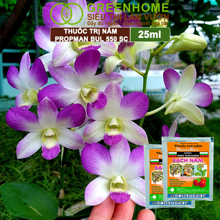 Thuốc Trị Nấm Cây Trồng Greenhome, Propman Bul 550sc, Gói 25ml, Trừ Đốm Lá Hoa Hồng, Cây Ăn Quả