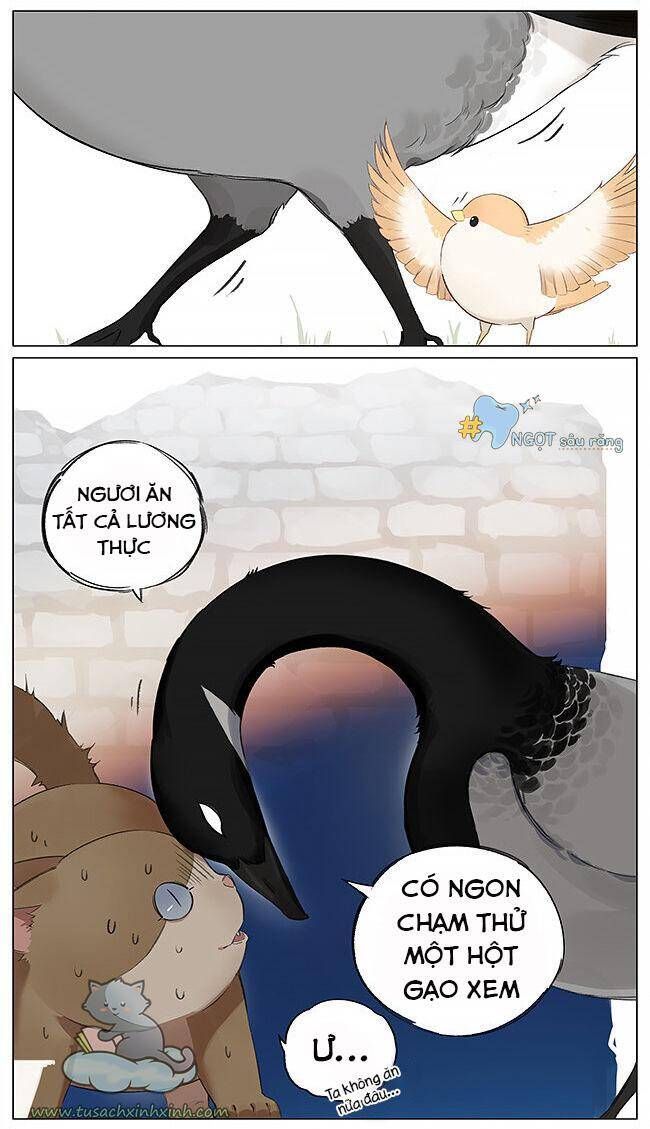 chim sẻ gọi ngỗng trời chapter 4 7