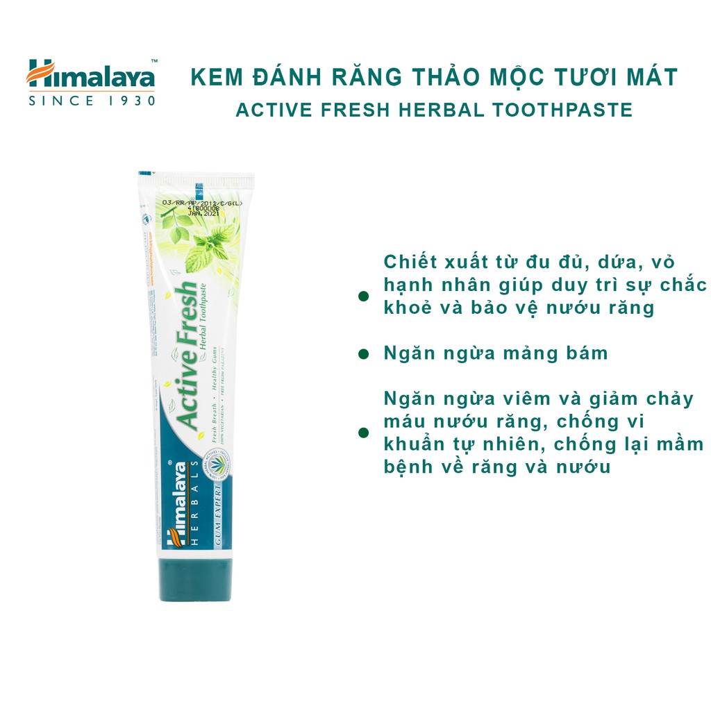 Kem Đánh Răng Thảo Mộc Tươi Mát Active Fresh Himalaya Herbals HMTP0003