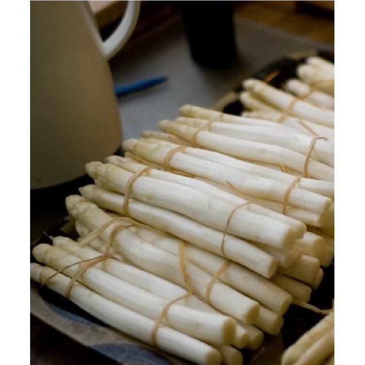 Hạt giống Măng Tây Trắng 20 hạt/gói