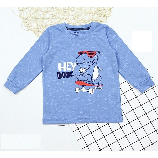 Áo cổ tròn dài tay cho bé trai