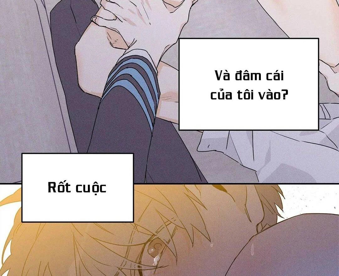 guide cấp b chapter 13 16