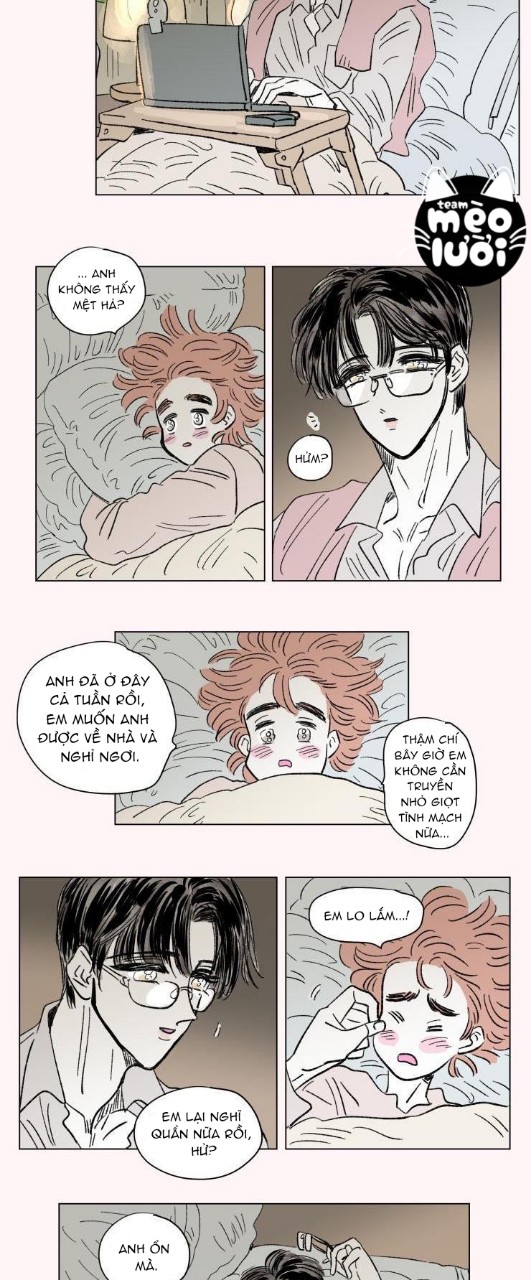 câu chuyện của hosik chapter 77 13