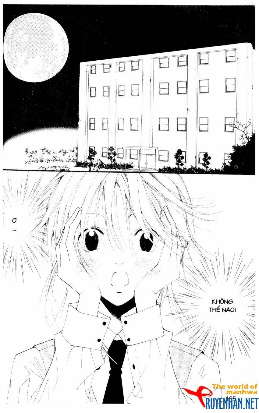 ngọc trong đá-ace chapter 18 7