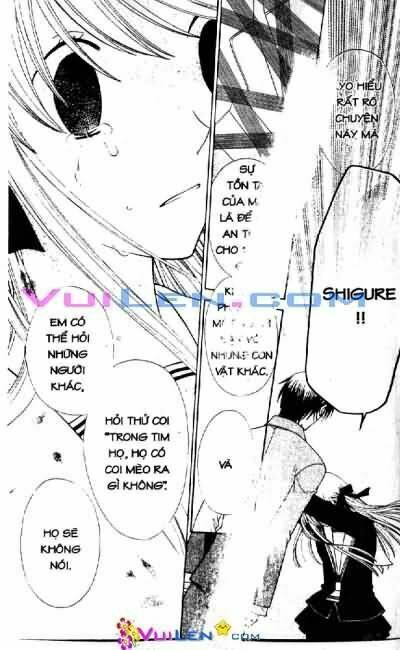 giỏ trái cây - fruit basket chapter 22 24