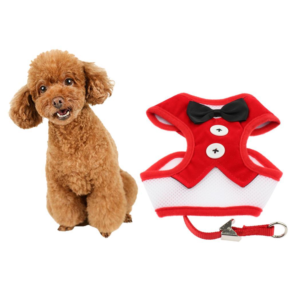 Cute Comfort Dog Vest Harness Leash Dog Outdoor Walking Vest