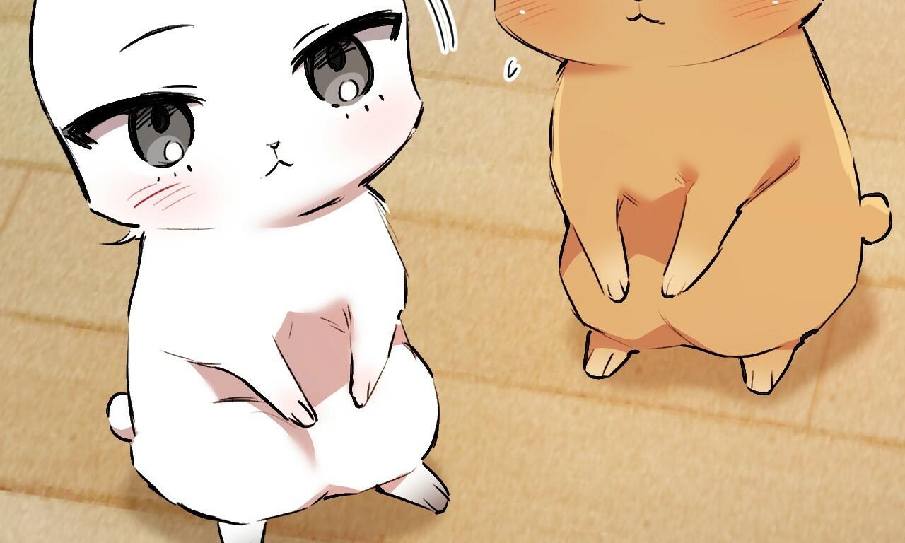 đàn thỏ của habibi chapter 33 257