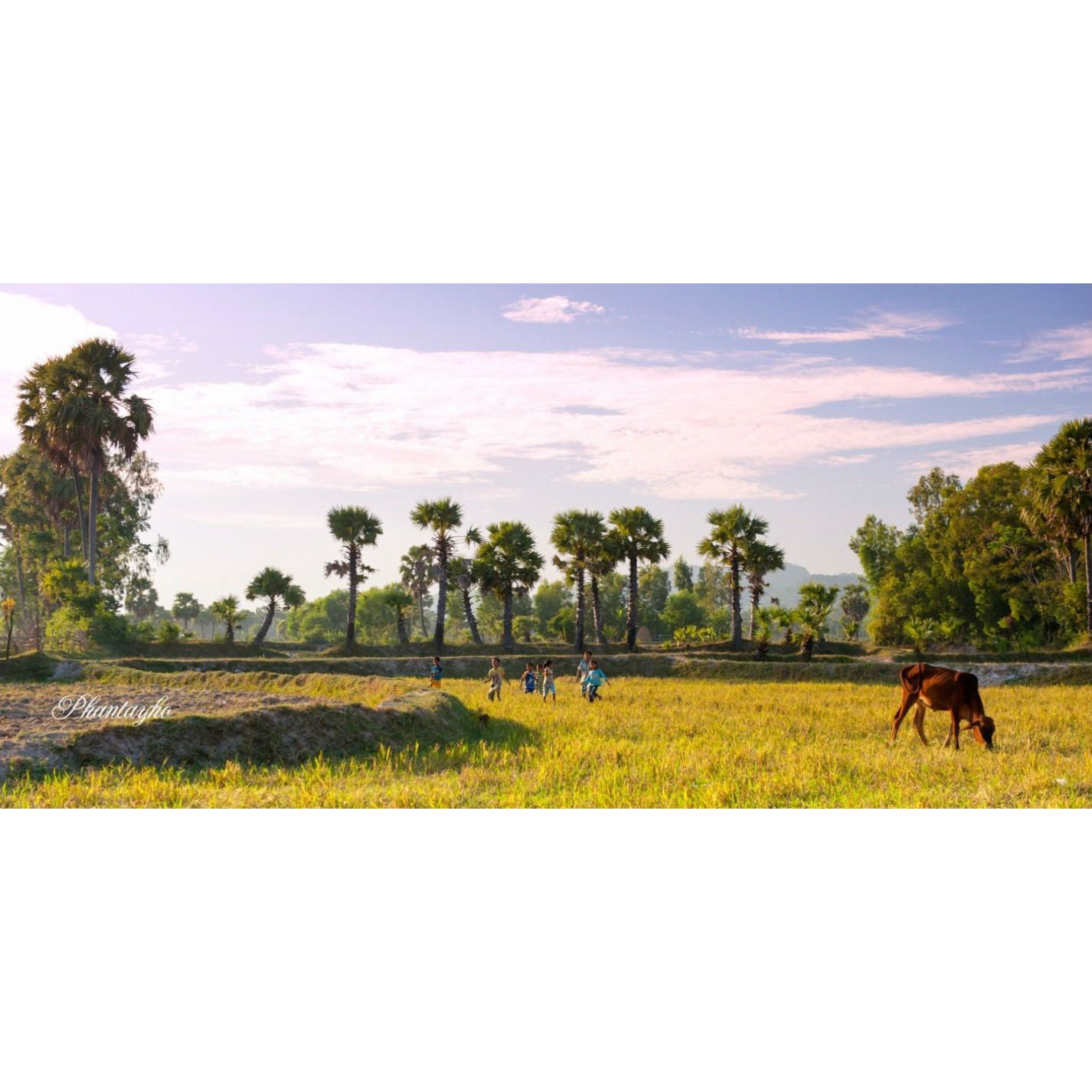 Mekong 3 day : SÀI GÒN - MỸ THO - BẾN TRE - CẦN THƠ - CHÂU ĐỐC