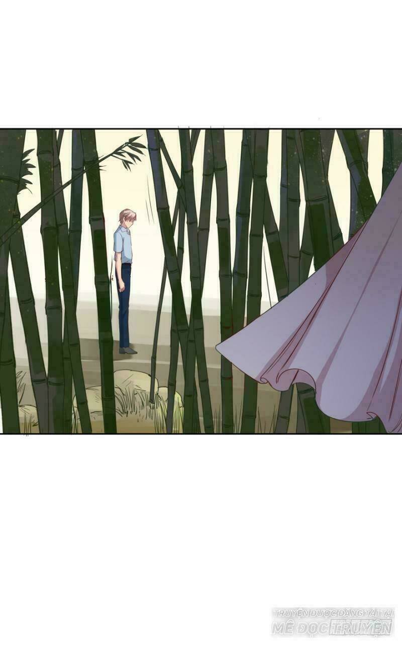 mộ thiếu, lão bà ngươi trọng sinh lại rồi! chapter 48 29