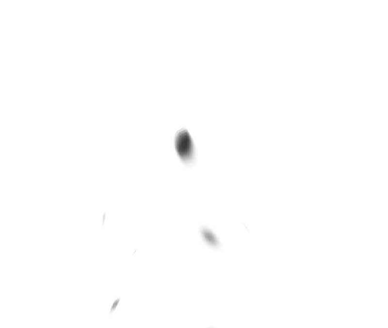 image 458