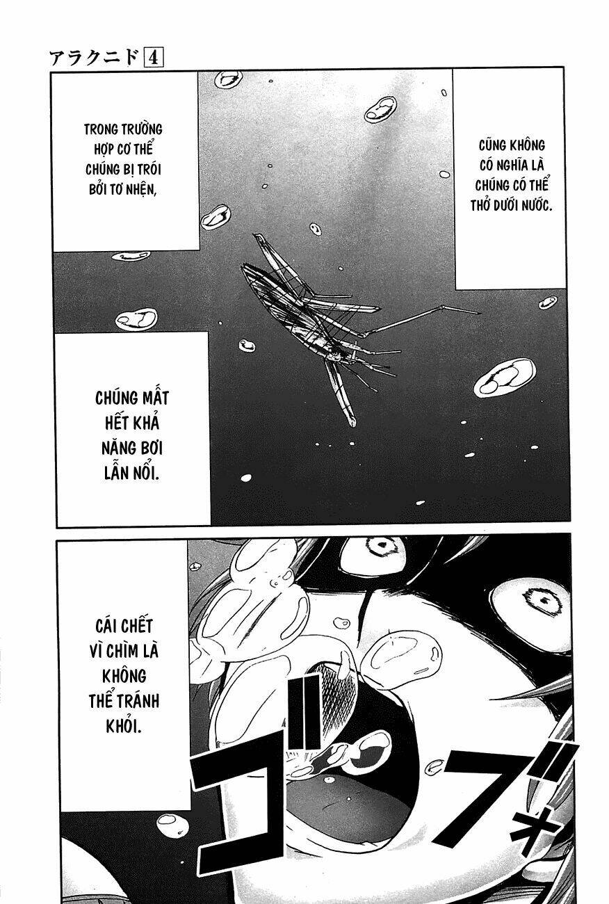 arachnid chapter 20 18