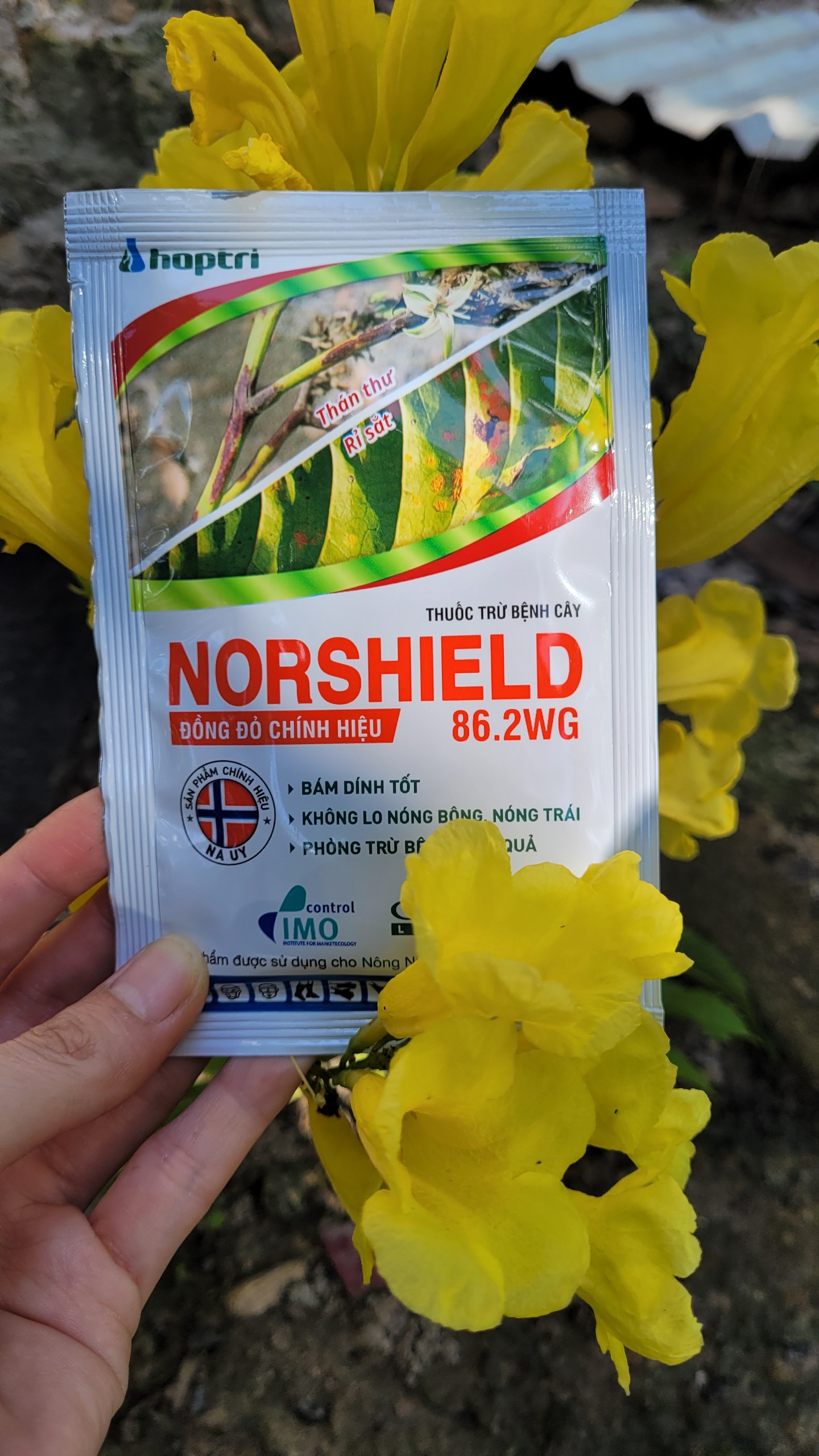 NORSHILED 86.2WG trừ bệnh thán thư, rỉ sắt, loét trên cây trồng, đồng đỏ chính hiệu gói 50gram