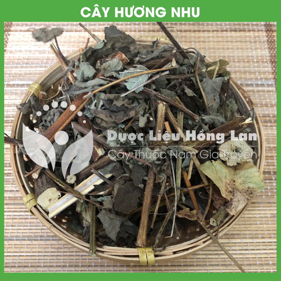 500g Cây Hương Nhu khô sạch