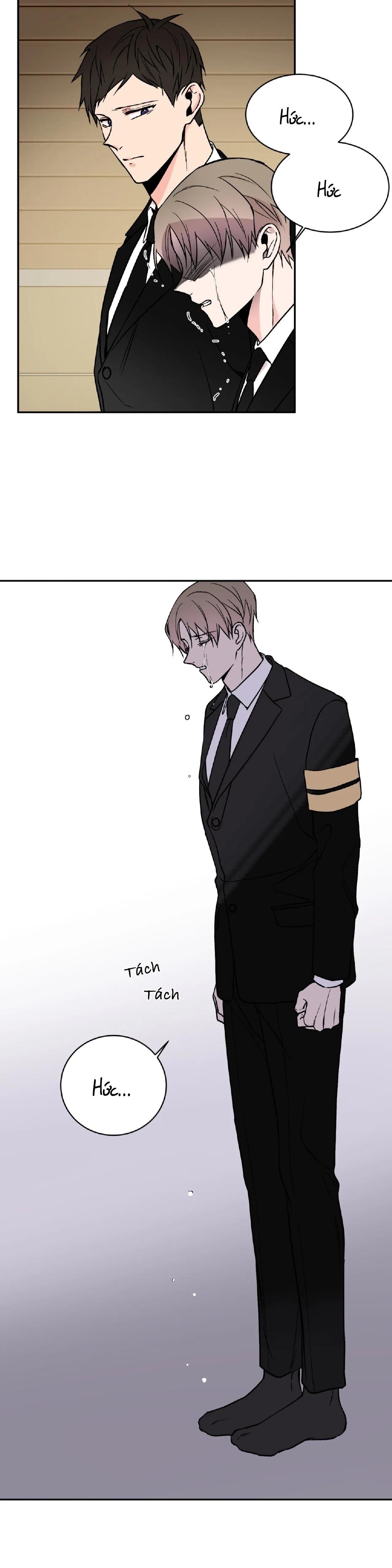 đảo ngược chapter 11 5