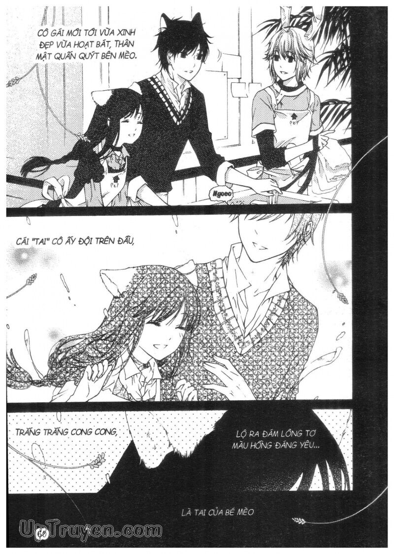 khu vườn ảo mộng chapter 4 55