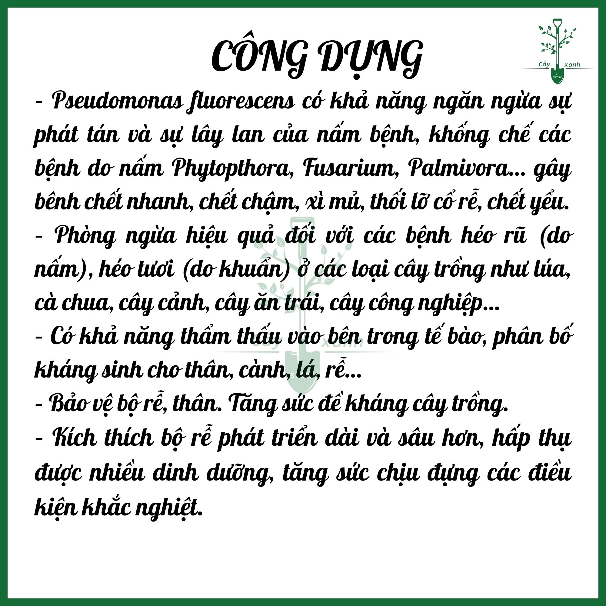 Phân vi sinh vật PSEUDOMONAS - Phòng trừ bệnh héo xanh, thối rễ - Gói 1kg - Cây Xanh Store