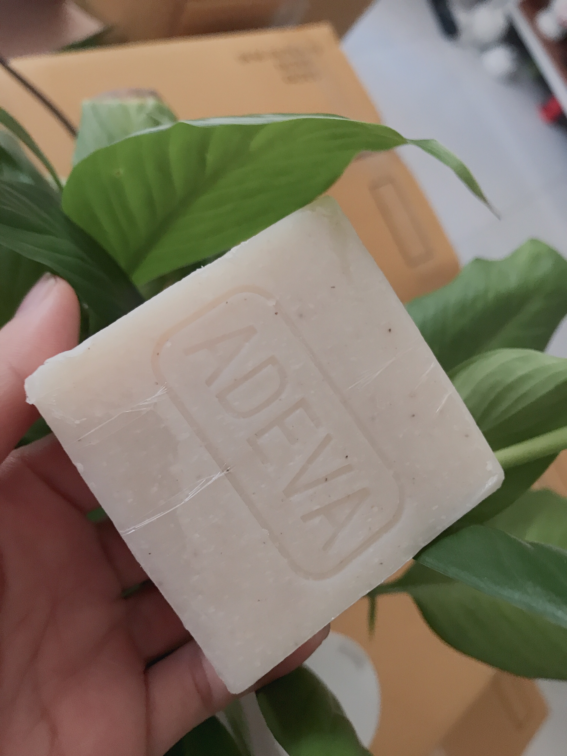Xà phòng handmade Trái nhàu Noni - Set 6 soap - Adeva Naturals