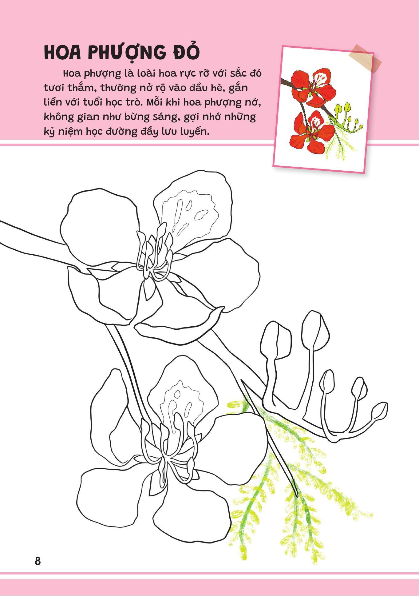 Sách - Yêu Quá Việt Nam - Các Loài Hoa