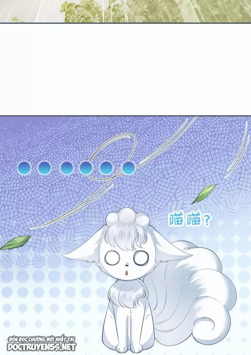 ảnh hậu một tuần mập ba cân chapter 3 41