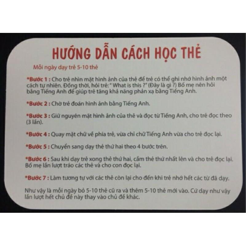 Bộ Thẻ Học Thông Minh 19 Chu Đề Loại To Song ngữ tiếng Anh loại chuẩn Glenn Doman Flashcard cho bé từ 0-6 tuổi