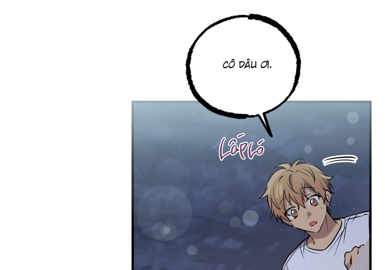 những chú thỏ của hapypy chapter 60 187