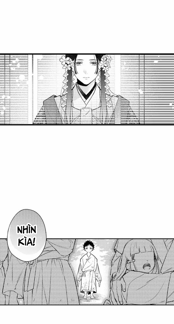 điểu thượng minh hoa chapter 1.1 5