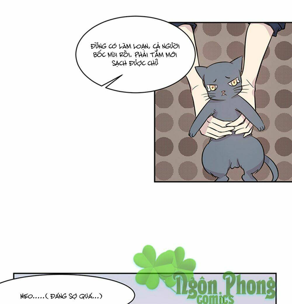 hai chú mèo totem chapter 17 12
