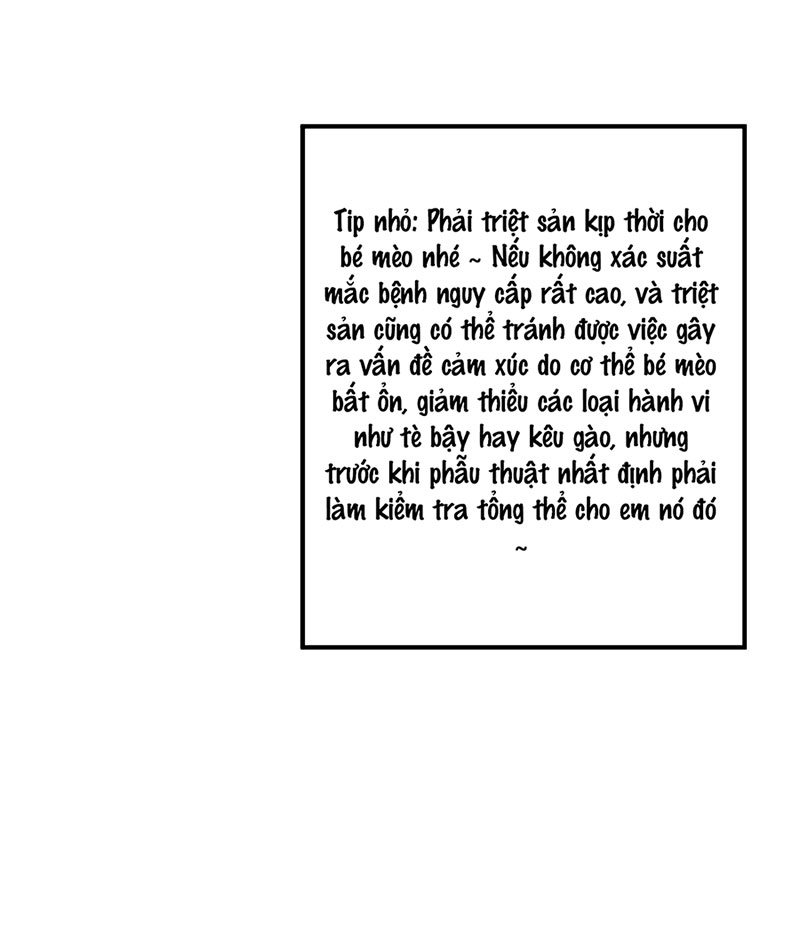 rốt cuộc bé mèo đang nghĩ gì ? chapter 14 20