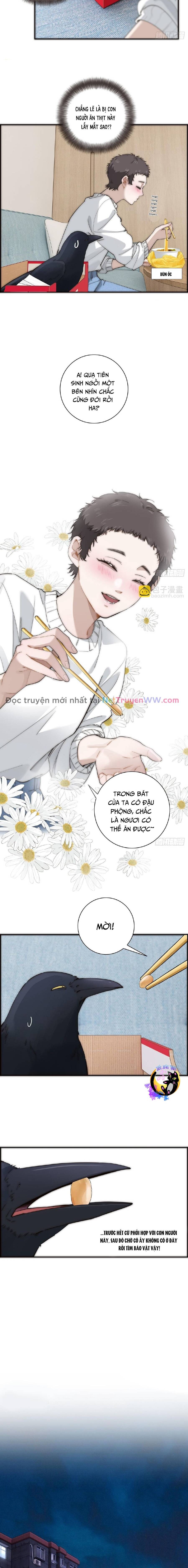 ân nhân của tôi không phải học giả chapter 37 6