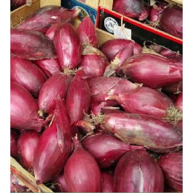 Hạt giống hành lá cao sản gốc tím KNS3215 - Gói 2gram