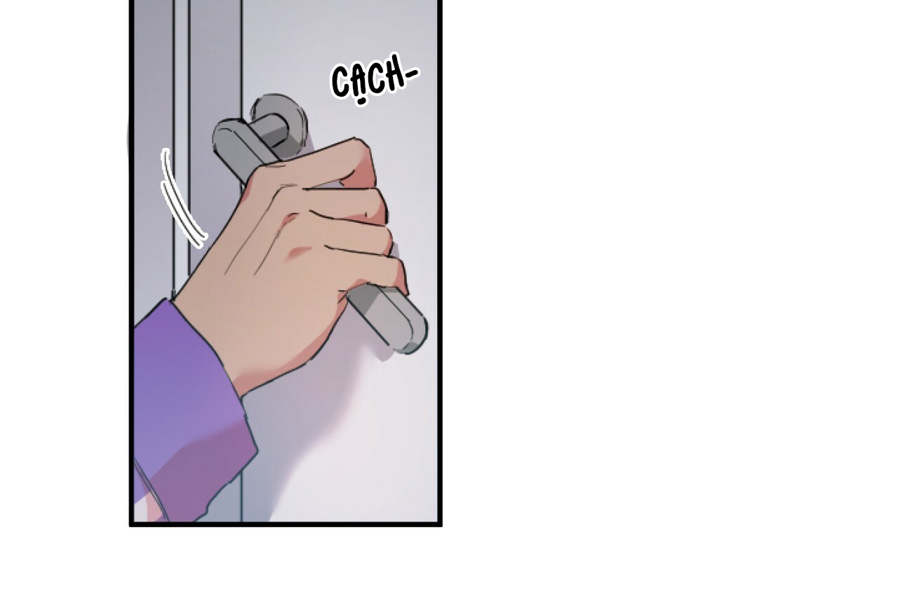 những chú thỏ của hapypy chapter 2 156