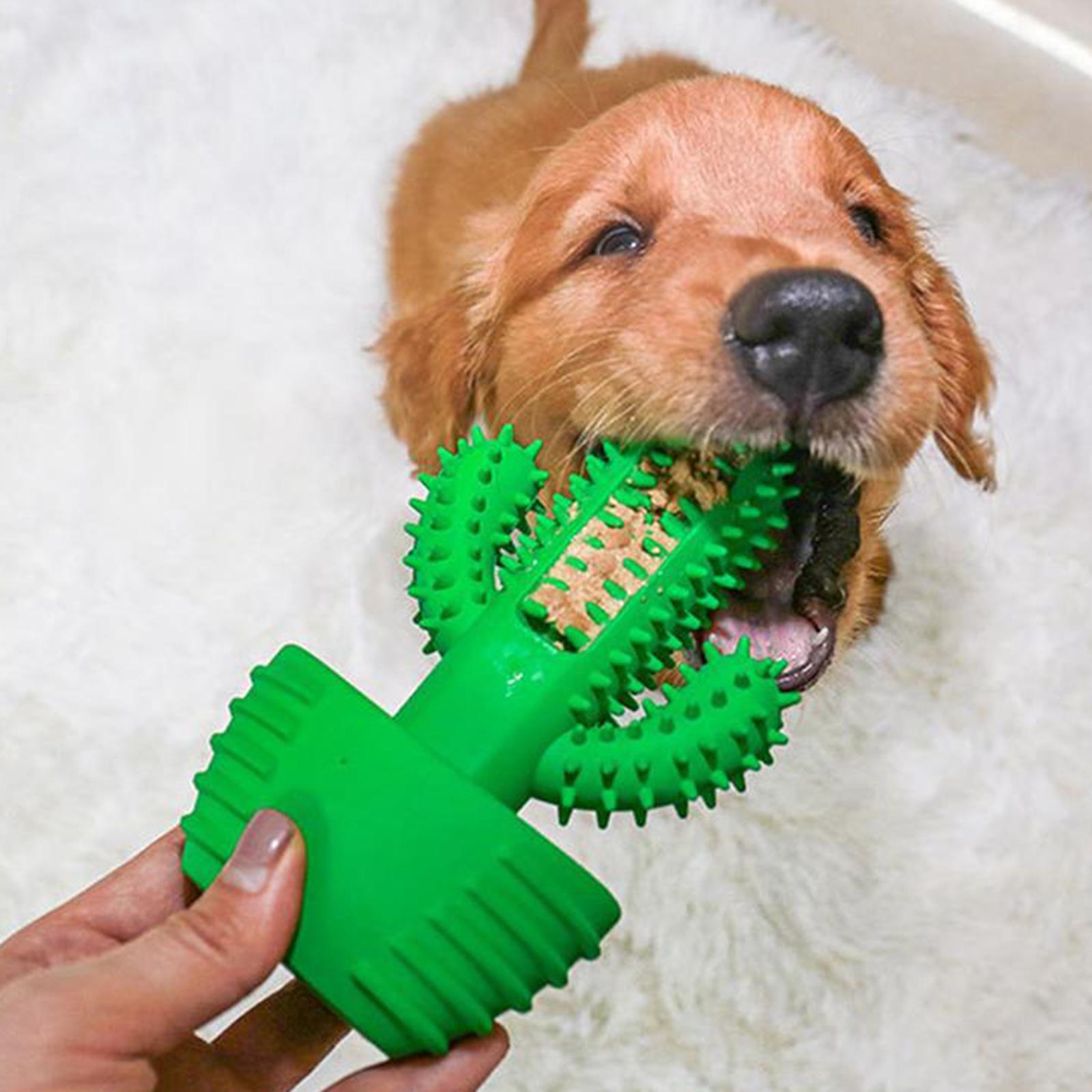 Dog Chew Toothbrush for Aggressive Chewers Toothbrush Stick for Dental Care