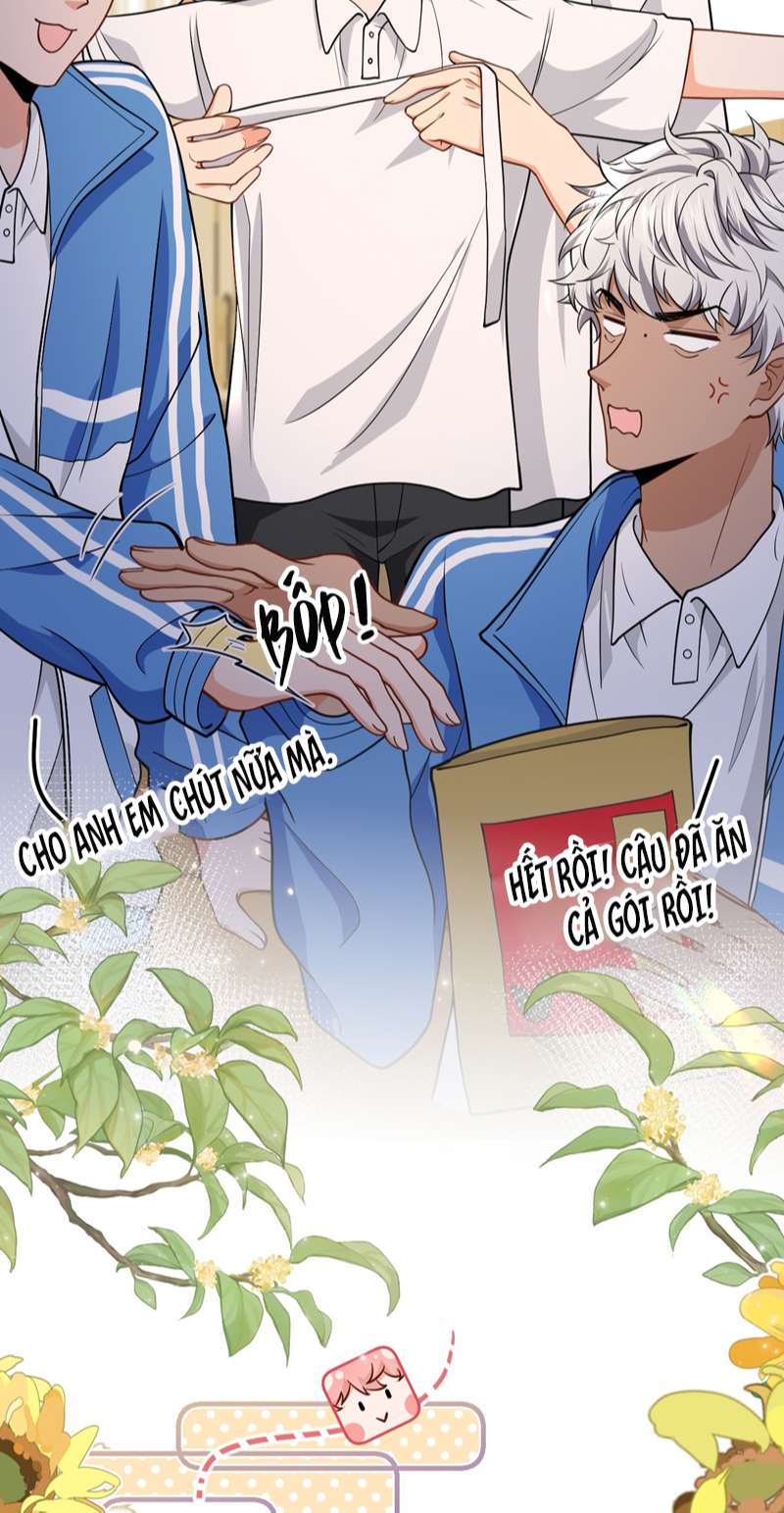 tín tức tố nói chúng ta không thể chapter 70 50