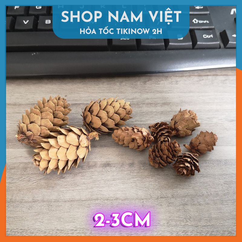 Set 5 Quả Thông Khô Đà Lạt Tự Nhiên Trang Trí Giáng Sinh