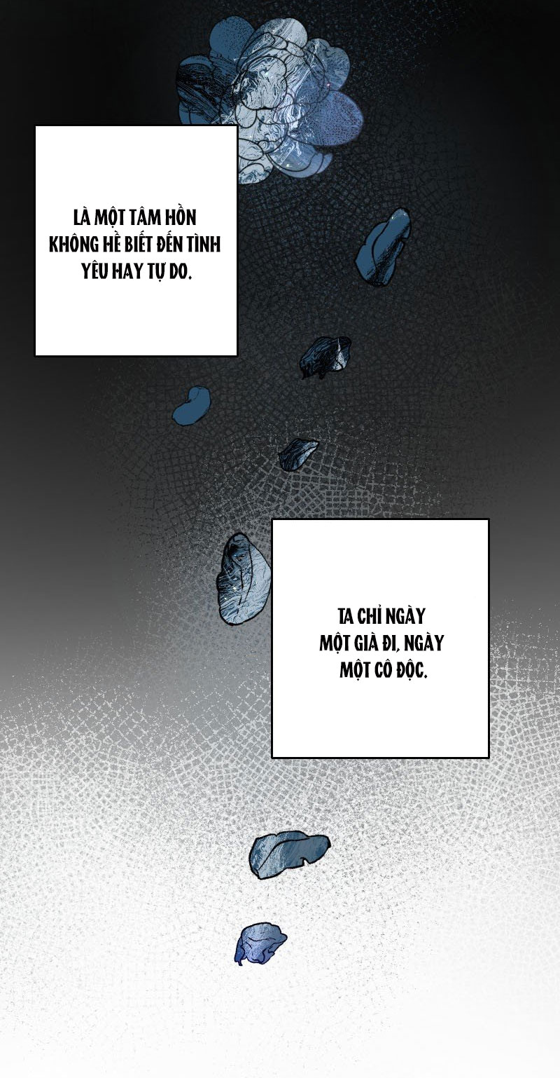 ngã rẽ định mệnh chapter 1.2 38