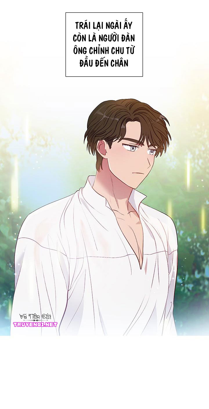 elizabeth chapter 11 6