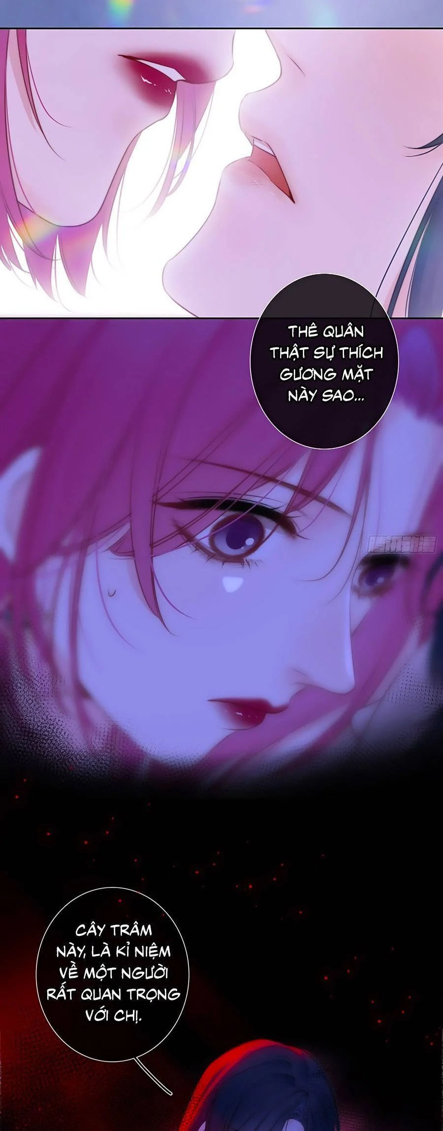 kim ốc tàng kiều chapter 81 23