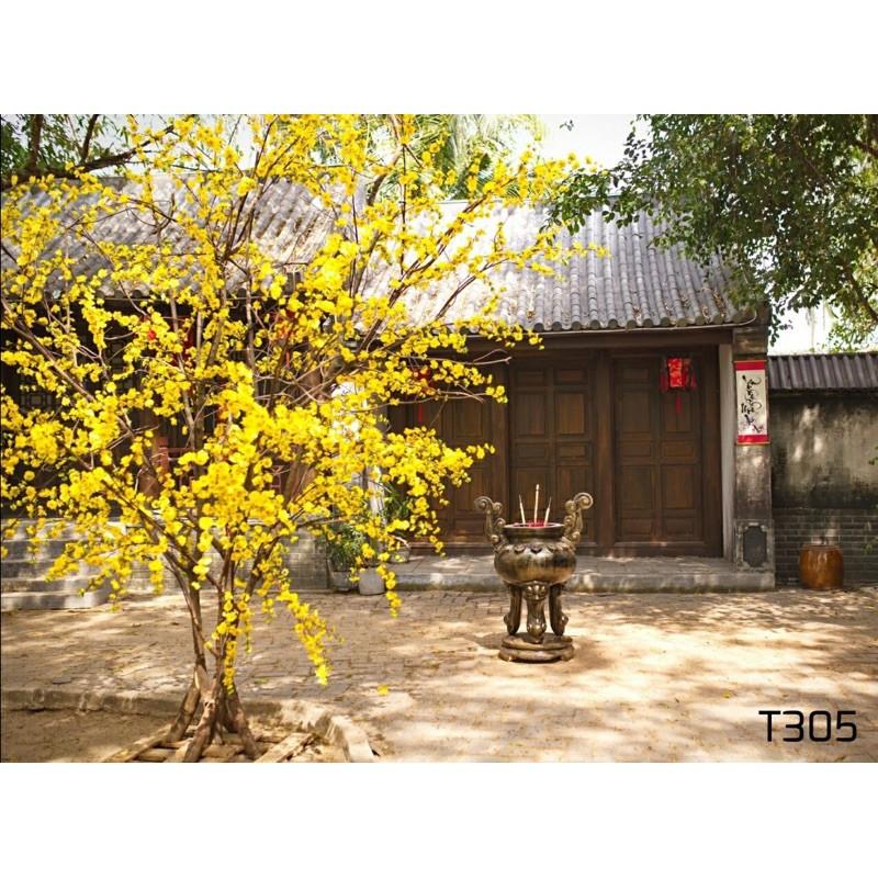 Phông nền chụp ảnh mã t305