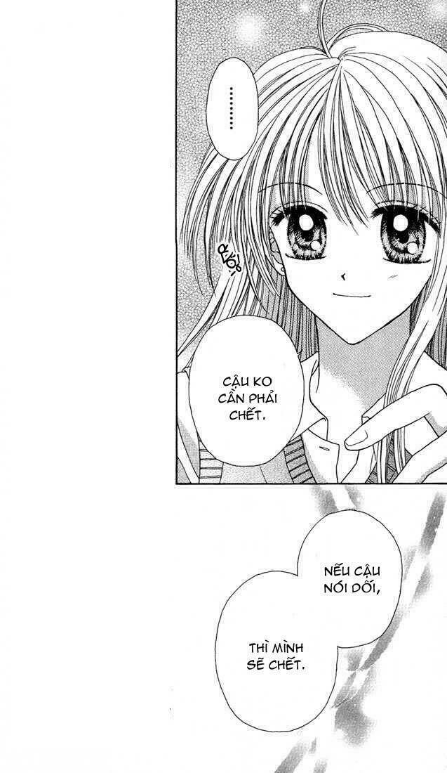 max lovely chapter 12 23