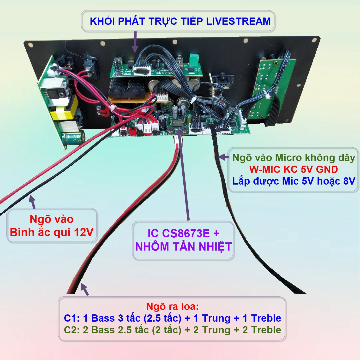 Mạch loa kéo CS8673E 130W LIVESTREAM - DSP lập trình chống hú, chỉnh Bass Treble Micro, nguồn xung 220V, loa kéo 3 tấc ĐƠN hoặc 2.5 tấc ĐÔI